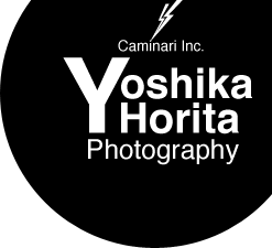yoshikahoritaphotography